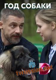 Год собаки