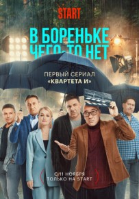 В Бореньке чего-то нет 1,2,3,4,5,6 серия 26.11.2021 