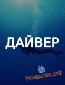 Дайвер