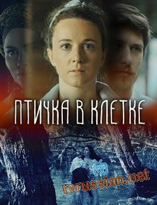 Птичка в клетке