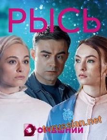 Рысь