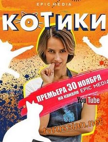 Котики